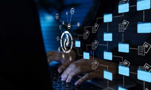 renovodata-local-recovery-server